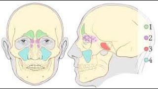 A Case Report: Mucocele of the Sphenoid, Ethmoid and Frontal Sinuses Presenting with Proptosis,