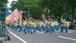 YOSAKOIソーラン祭り2016 06 12 大通北 AOMORI花嵐桜組