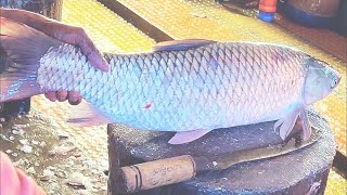 Masterful Fish Cutting Techniques  Expertly Slicing a Giant Mrigal Fish | TTM Fish Cutting