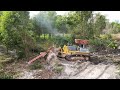 Ep103| Wow Amazing Extremely Komatsu Dozers And Hyoundai Dump Trucks Clearing Forest By Stone