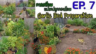 Garlic Bed Preparation / เตรียมแปลงปลูกกระเทียม