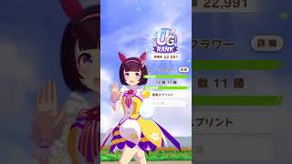 【ウマ娘】ニシノフラワー【EDボイス】