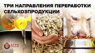 Переработка сельскохозяйственной  продукции. Три направления развития.