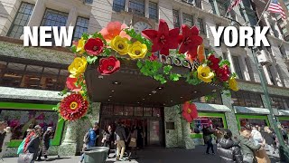 New York City LIVE Manhattan & Macys Flowers Show 2024 (March 24, 2024)