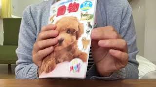 マクドナルド ハッピーセットの動物図鑑