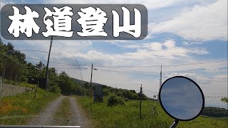 【セロー】バイク初心者が林道を使って登頂してみた（青森県階上岳）