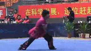 2010年全国武术套路锦标赛（传统）W01 007 女子南拳 张晴