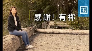 电视节目 TV1517 感谢！有祢 (HD国语)