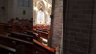 명동성당(MyungDong Cathedral)