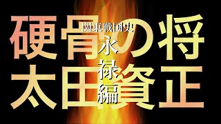 【関東戦国史】永禄編⑤　松山城攻防戦【解説】