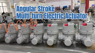 Angular Stroke Multi Turn Electric Actuator | Fleyenda Valve Manufacturer