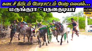 பெரியமாடு இராமநாதபுரம்(மா) வெள்ளையாபுரம் பந்தயம்||18/08/2021||Vellayapuram panthayam krish rekala