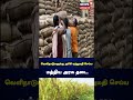 வெளிநாடுகளுக்கு அரிசி ஏற்றுமதி செய்ய மத்திய அரசு தடை | Rice