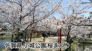 20230331 佐賀県 小城市 小城公園 桜まつり桜5000本 【日本さくら名所100選】満開！