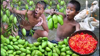 Primitive technology - Eating rich mango fruits delicious