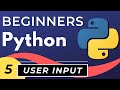 Python User Input & Control Flow | Python tutorial