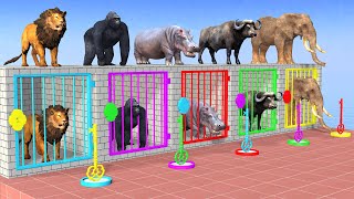 Cow Elephant Buffalo Lion Gorilla Hippo Guess The Right Key ESCAPE ROOM CHALLENGE Animals Cage Game