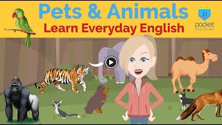 Pets & Animals | Everyday Beginner English