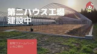 兵庫県のいちご狩り | 好旬ファームパーク | 第二ハウス工場建設中