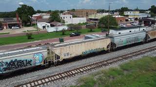 Southbound UP 8009/UP 6454, Covered Hopper Train, \