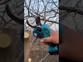 SWANSOFT 35MM Tijeras de podar eléctricas【SW-8608】 #electrictool #pruning