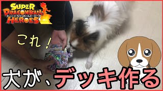 SDBH ペットの犬に、デッキ７枚作ってもらってバトスポ挑みます！ドラゴンボールヒーローズ