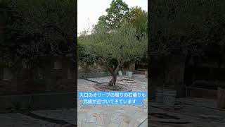 樹木葬 オリーブ オシャレな霊園 大阪 管理費不要