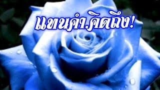 #คิดถึง สวัสดีวันศุกร์ คิดถึงนะ🌹😊