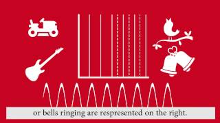 What is an audiogram?