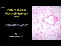 Picture tests in histology of the respiratory system