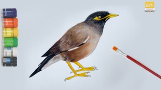 How to Draw Myna Bird || Birds Drawing || Art JanaG
