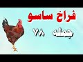 اسعار الفراخ البيضاء اليوم سعر الفراخ البيضاء اليوم الثلاثاء ٢٦ ١١ ٢٠٢٤ في مصر جمله وقطاعي