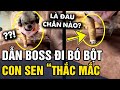 Dẫn cờ hó 'ĐI BÓ BỘT', con sen quay clip THẮC MẮC rốt cuộc là 'ĐAU CHÂN NÀO' | Tin 3 Phút