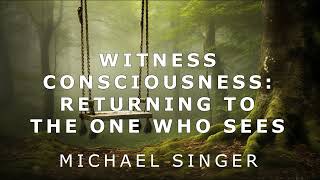 Michael Singer - Witness Consciousness - Returning to the One Who Sees