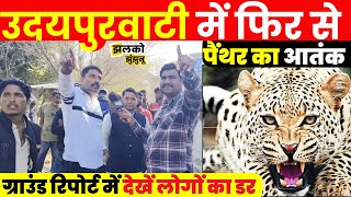 Udaipurwati के आबादी क्षेत्र में फिर से Panther का आतंक, ground report में देखें क्या बोले लोग