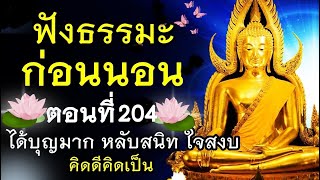 ฟังธรรมะก่อนนอน (204) หลับสนิท ได้บุญมาก ชีวิตเป็นสุข 🙏17