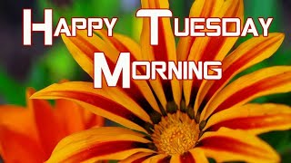 Good morning tuesday images  !! good morning  !! Good morning flowers images