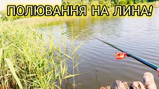 ТАМ ДЕ ЖИВУТЬ ЛИНИ! Риболовля на поплавок!