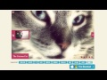Carousel Jquery - amazing transition effects!