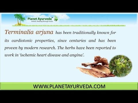 Terminalia Arjuna - Health Benefits, Medicinal Uses & Properties - YouTube