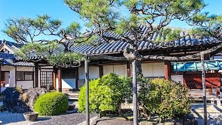 十輪院 奈良 / Jurin-in Temple Nara