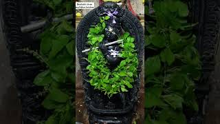 Ekadashi murlidhar krishna #tulsi alankar