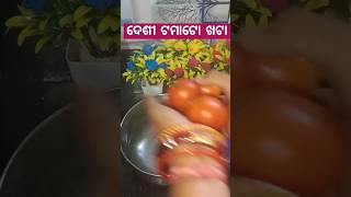 //ଦେଶୀ 🍅 ଖଟା//#desi#tomatochutney#traditional@SonuDash1567#yt#shortsviral#trendingshorts#youtube🤤😋