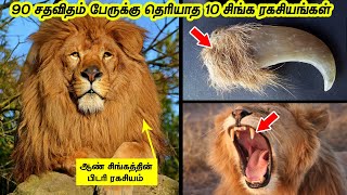 90 சதவிதம் பேருக்கு தெரியாத 10 சிங்க ரகசியங்கள் || 10 Amazing Lion Facts