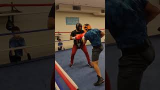 Sparring Boxing Rounds