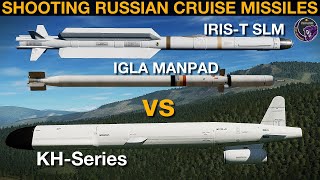 Could Igla MANPADS or German IRIS-T SLM Defend Ukraine From Russian Cruise Missiles? | DCS