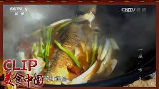 银川黄河金鳞赤尾侉炖鲤鱼 好吃得不得了《一城一味》| 美食中国 Tasty China