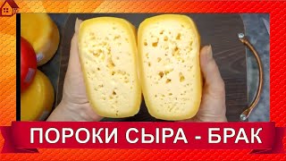 ПОРОКИ СЫРА - БРАК В СЫРОДЕЛИИ. Режу неудавшийся сыр Сусанинский