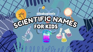 What’s in a Name? 🧪 Fun Scientific Names for Kids Explained!