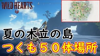 【WILD HEARTS/ワイルドハーツ】つくも５０体の場所！！夏の木立の島編！【ゆっくり攻略】